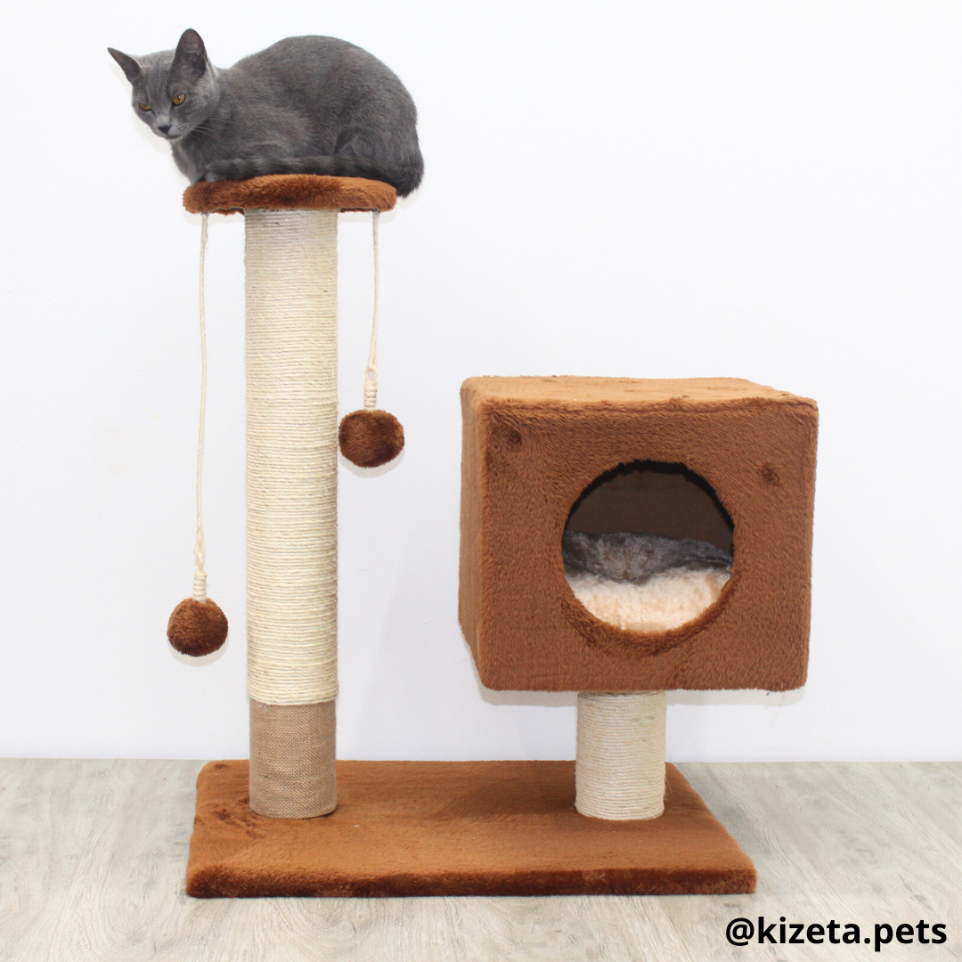 RASCADOR GYM PARA GATO MODELO TORRE + CAMA (45X60X75CM)