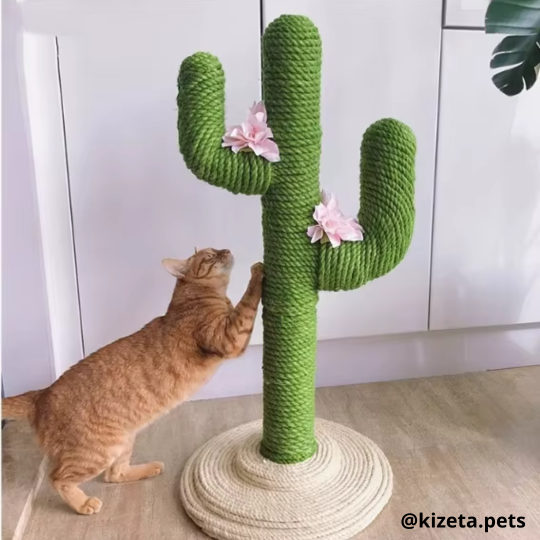RASCADOR TIPO CACTUS (50X58X105CM)