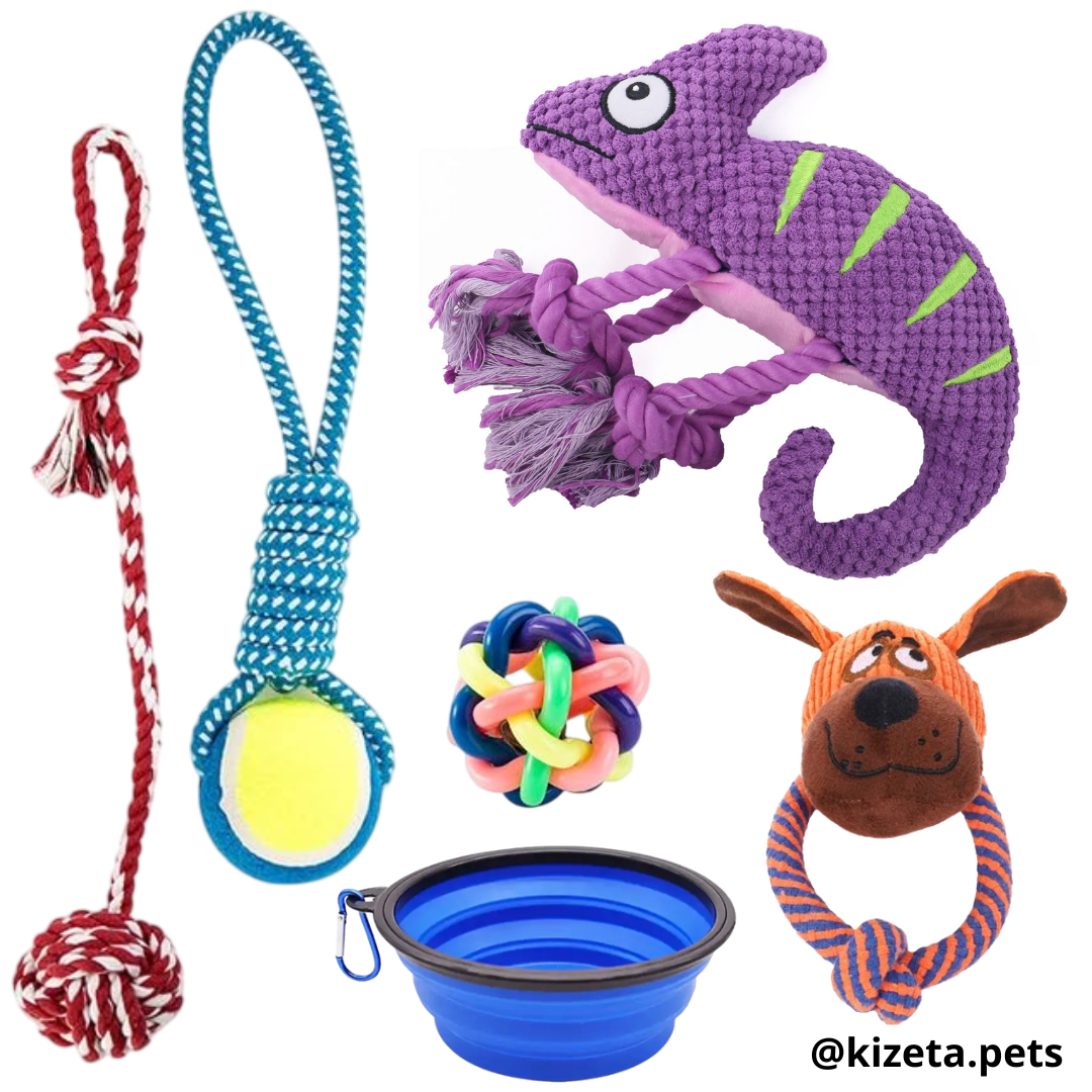 KIT DE 6 JUGUETES (CAMALEÓN 1)