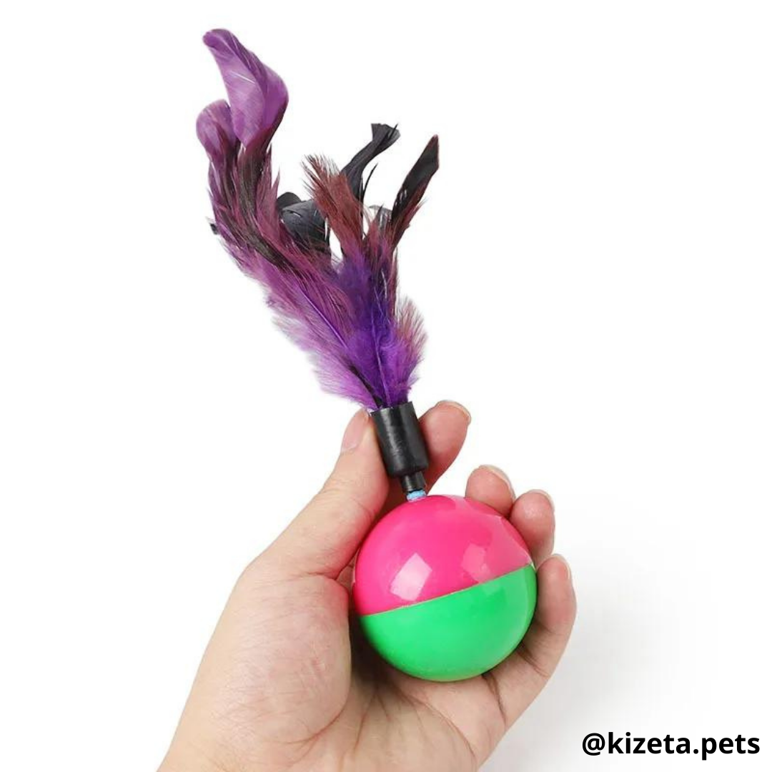 JUGUETE PELOTA + PLUMAS