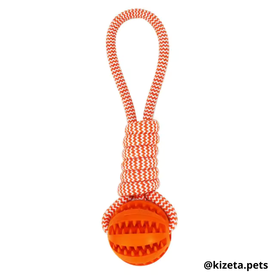 PELOTA DISPENSADORA + CUERDA