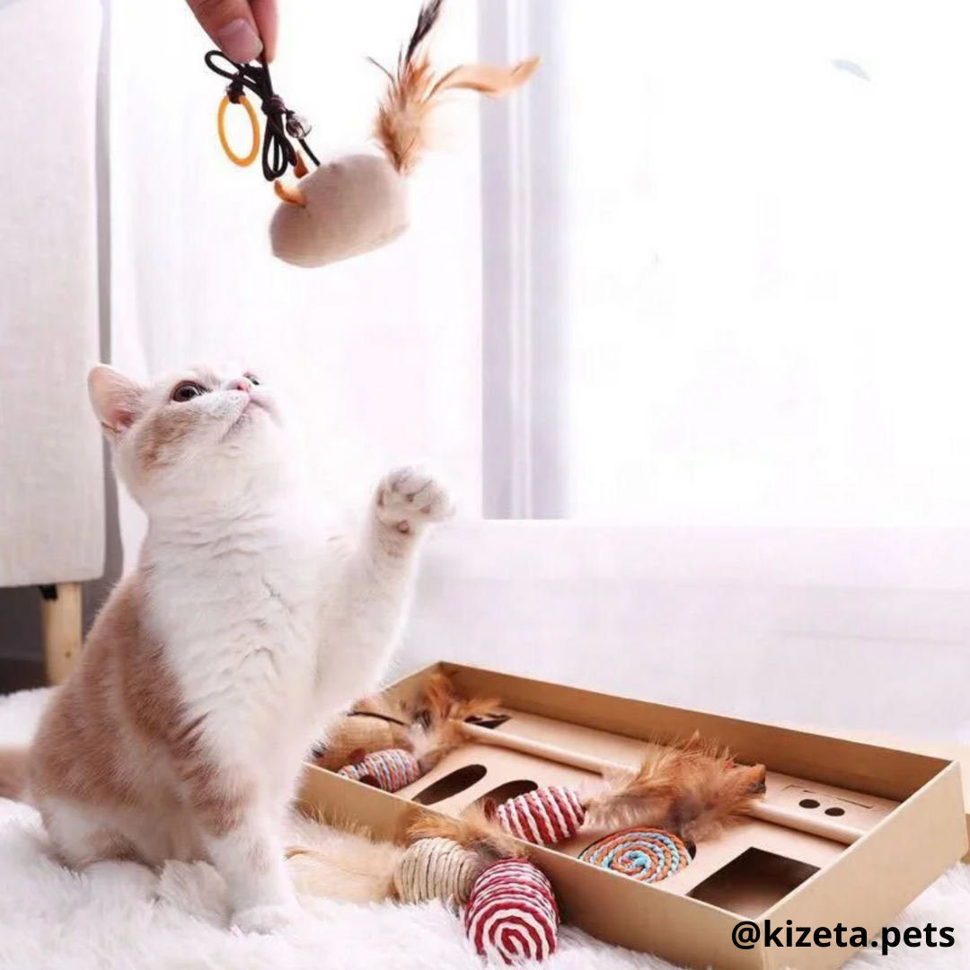 KIT DE 7 JUGUETES PARA GATO