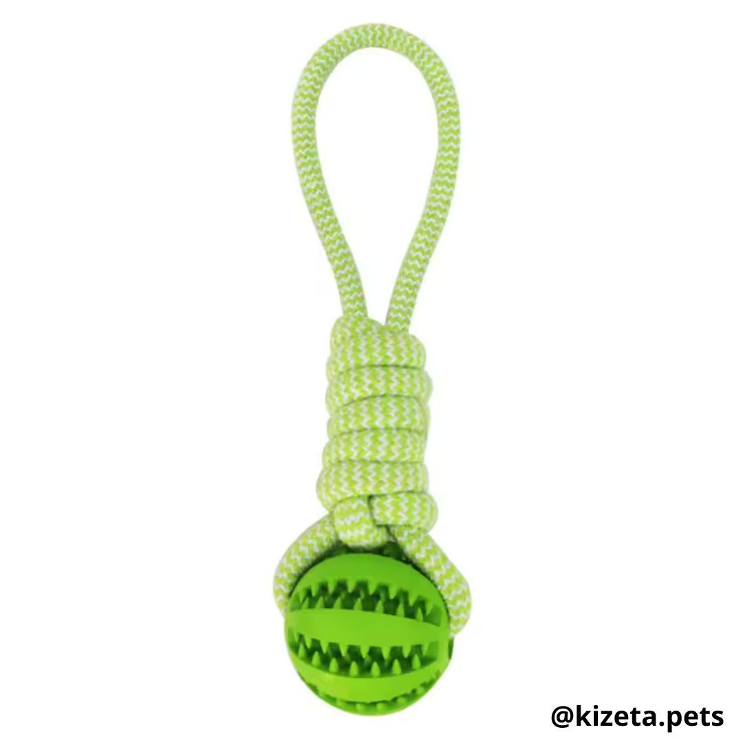 PELOTA DISPENSADORA + CUERDA