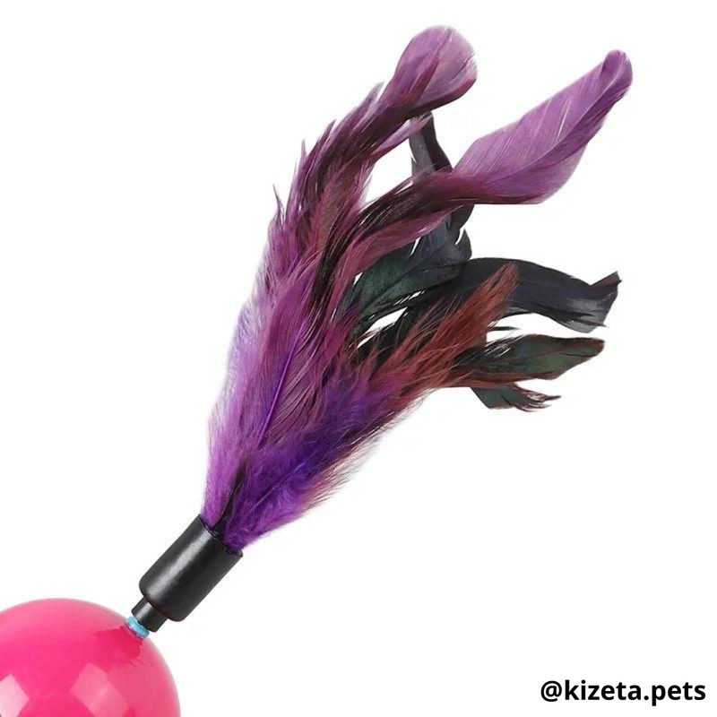 JUGUETE PELOTA + PLUMAS