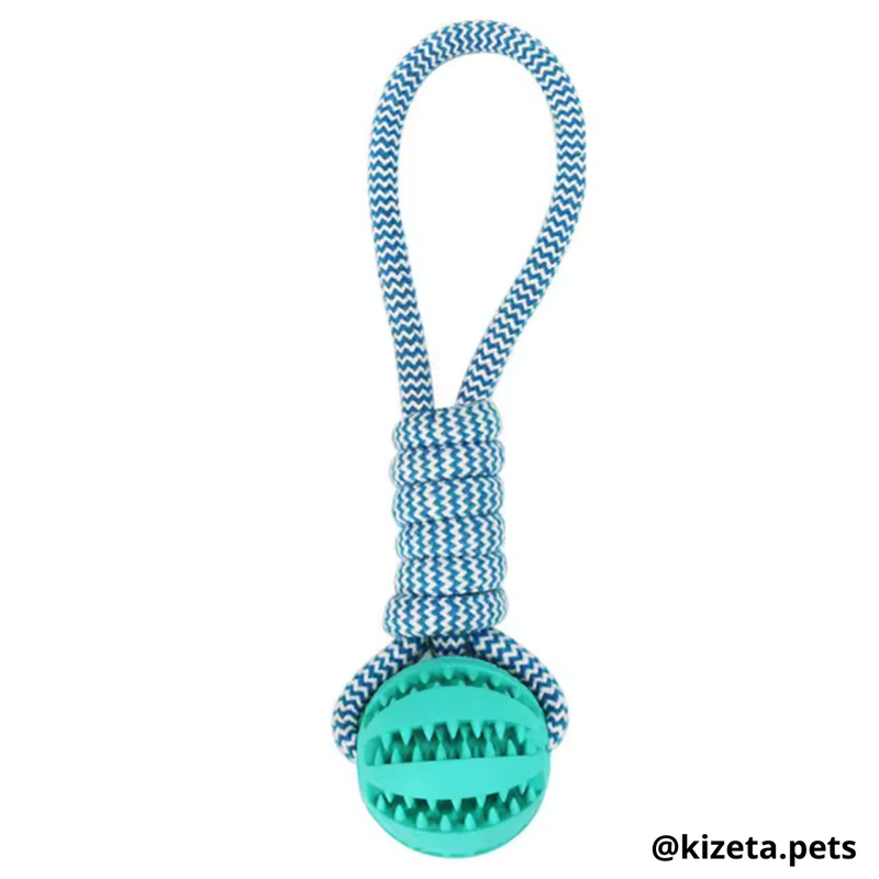 PELOTA DISPENSADORA + CUERDA