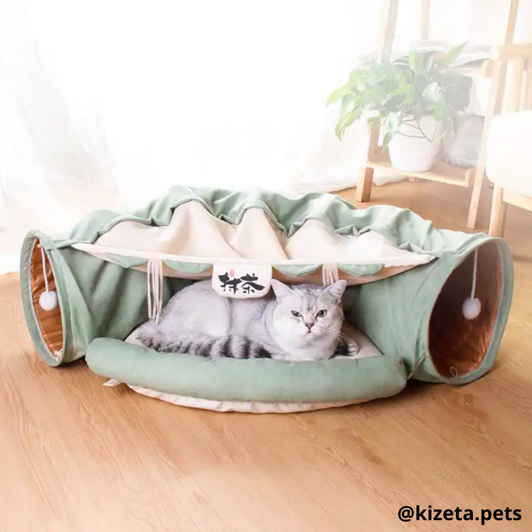 TÚNEL + CAMA PARA GATOS