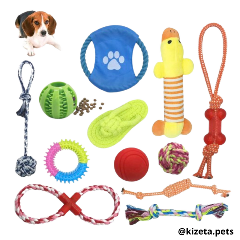 KIT DE 12 JUGUETES PARA PERRO