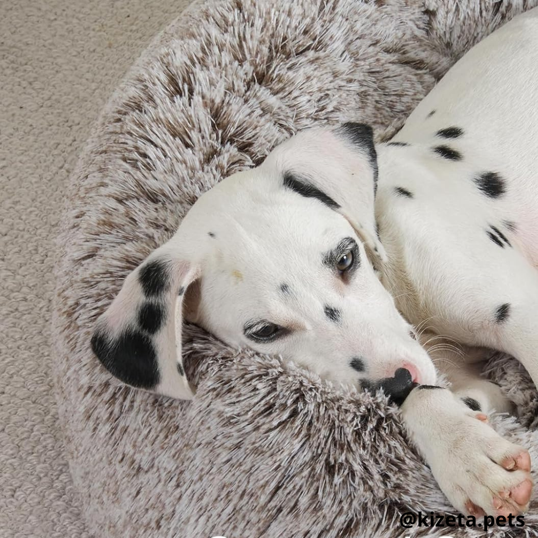 CAMA ANTIANSIEDAD 100% LAVABLE EN FORMA HUELLA DE OSO PARA PERROS O GATOS