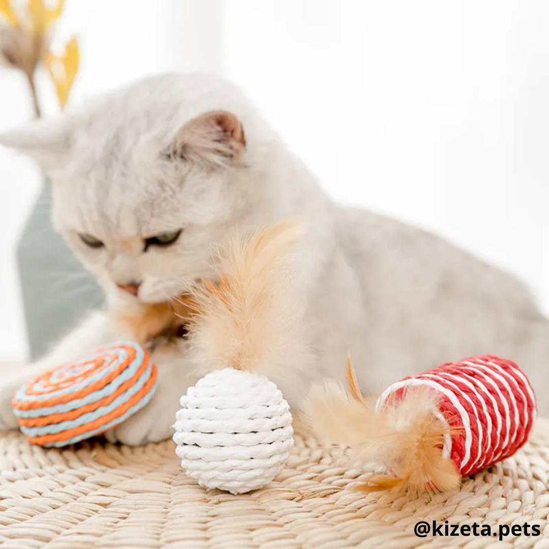 KIT DE 7 JUGUETES PARA GATO