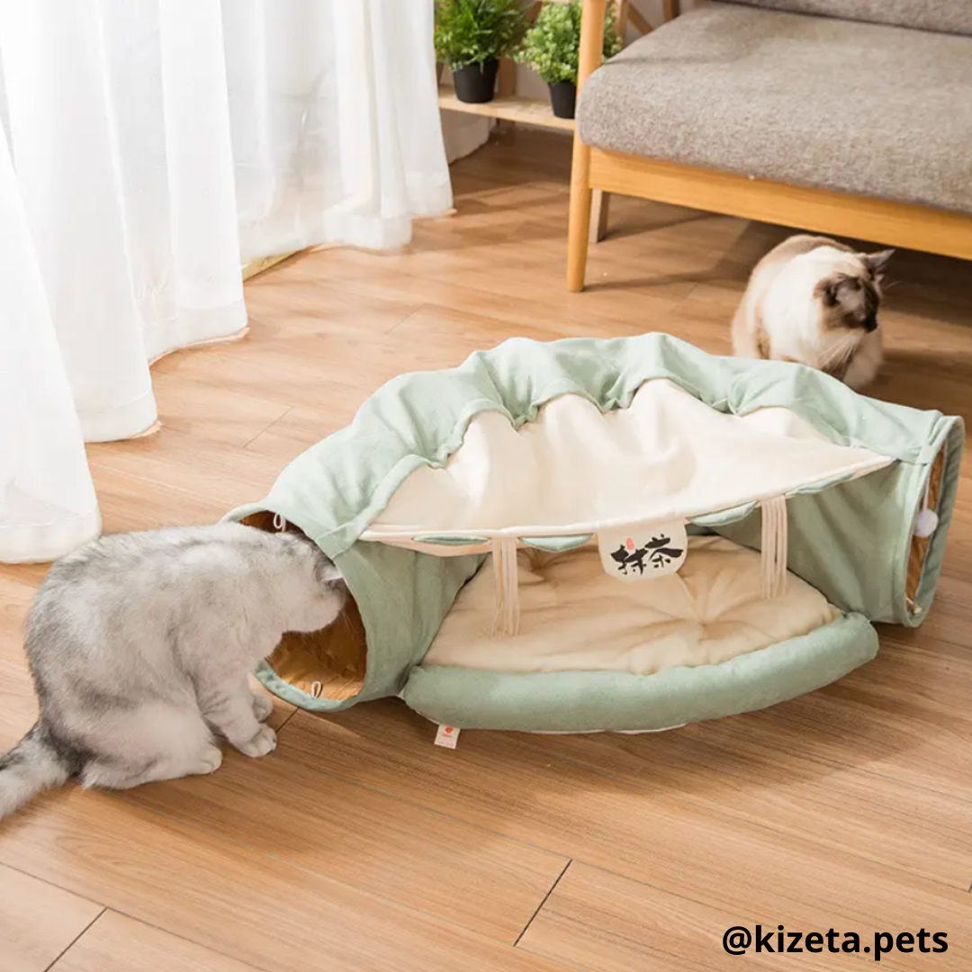 TÚNEL + CAMA PARA GATOS