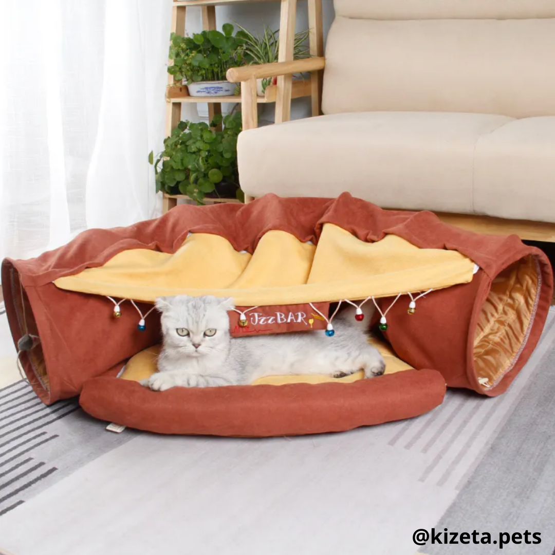 TÚNEL + CAMA PARA GATOS