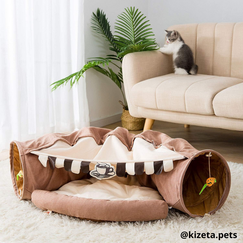 TÚNEL + CAMA PARA GATOS