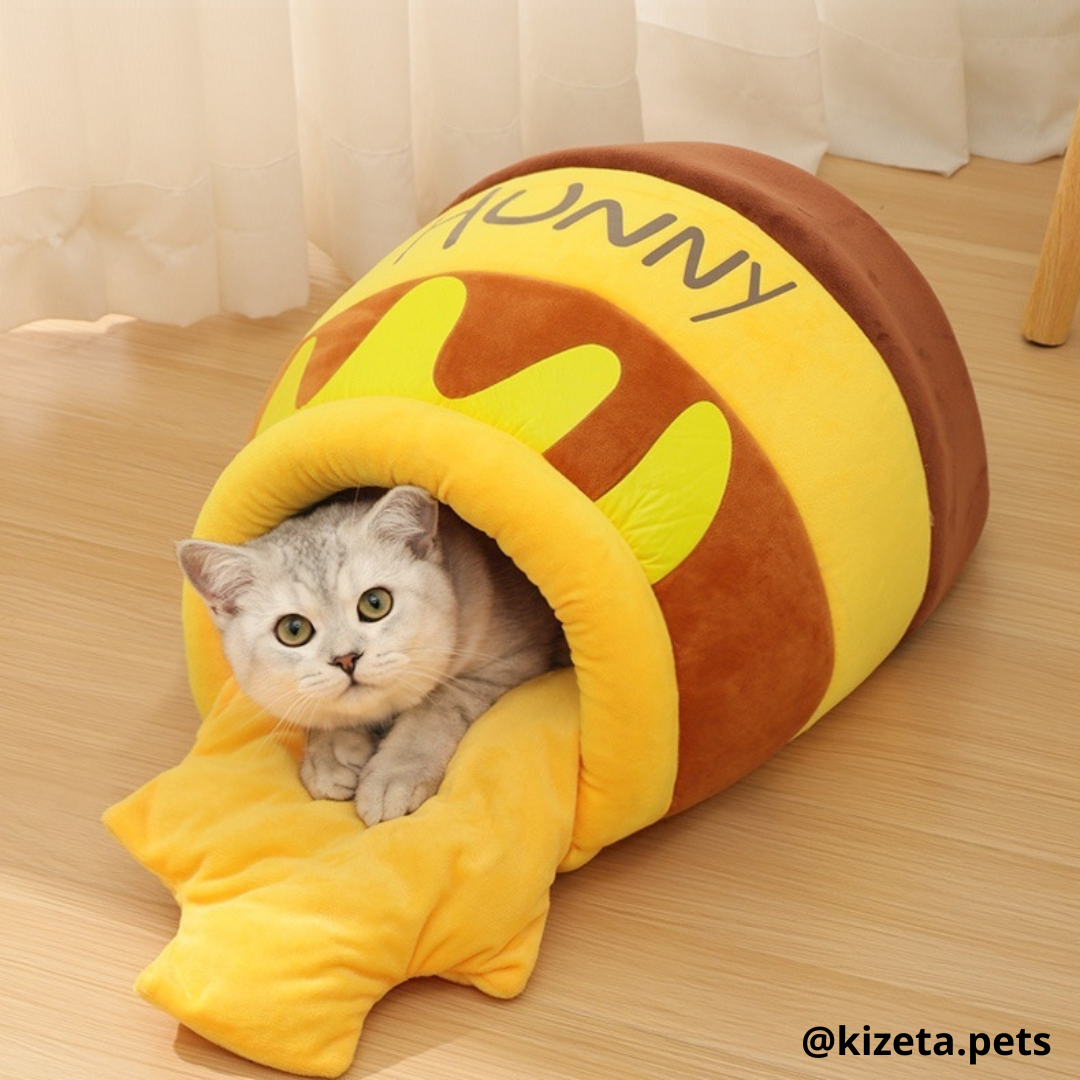 CAMA HONEY PARA GATITO