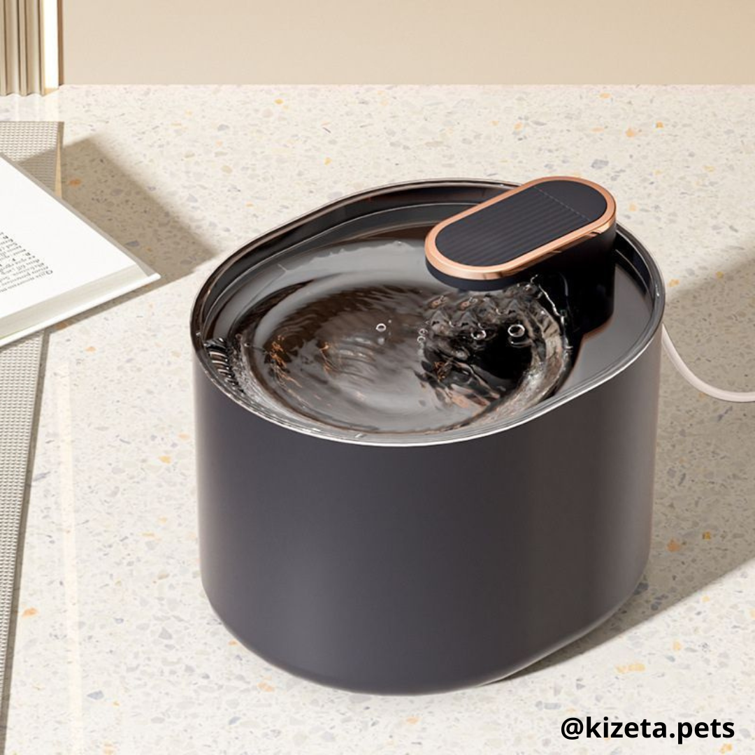 FUENTE DE AGUA SENCILLA OVALADA DE 3L PARA GATOS Y PERROS