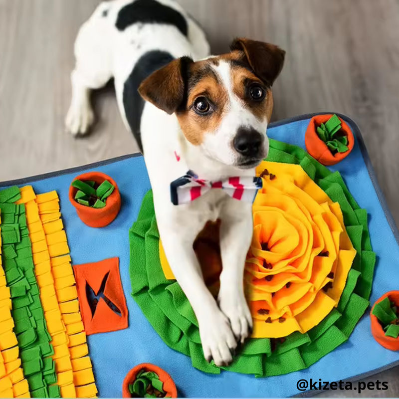 ALFOMBRILLA DE OLFATO VERDE/NARANJA PARA PERROS Y GATOS / ALFOMBRILLA DE ALIMENTACIÓN LENTA PARA MASCOTAS 70x50CM