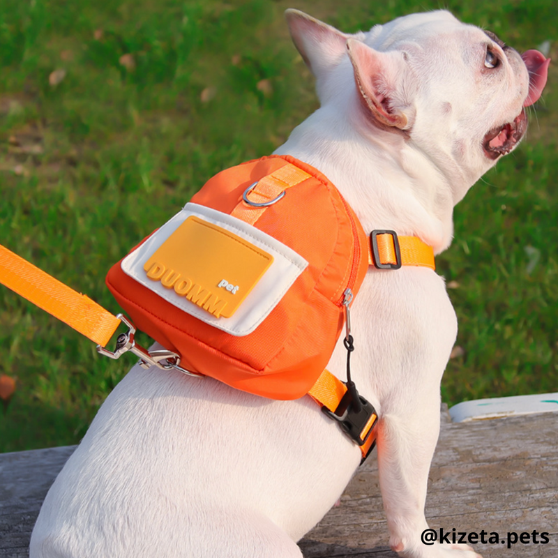 MOCHILA + CORREA TIPO ARNÉS PARA PERRO O GATO