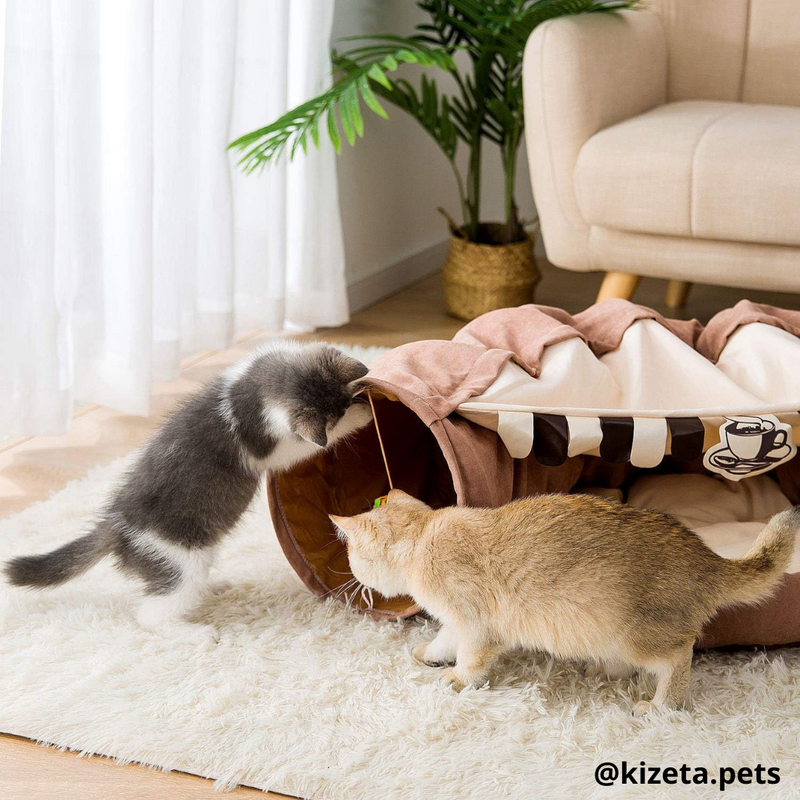 TÚNEL + CAMA PARA GATOS