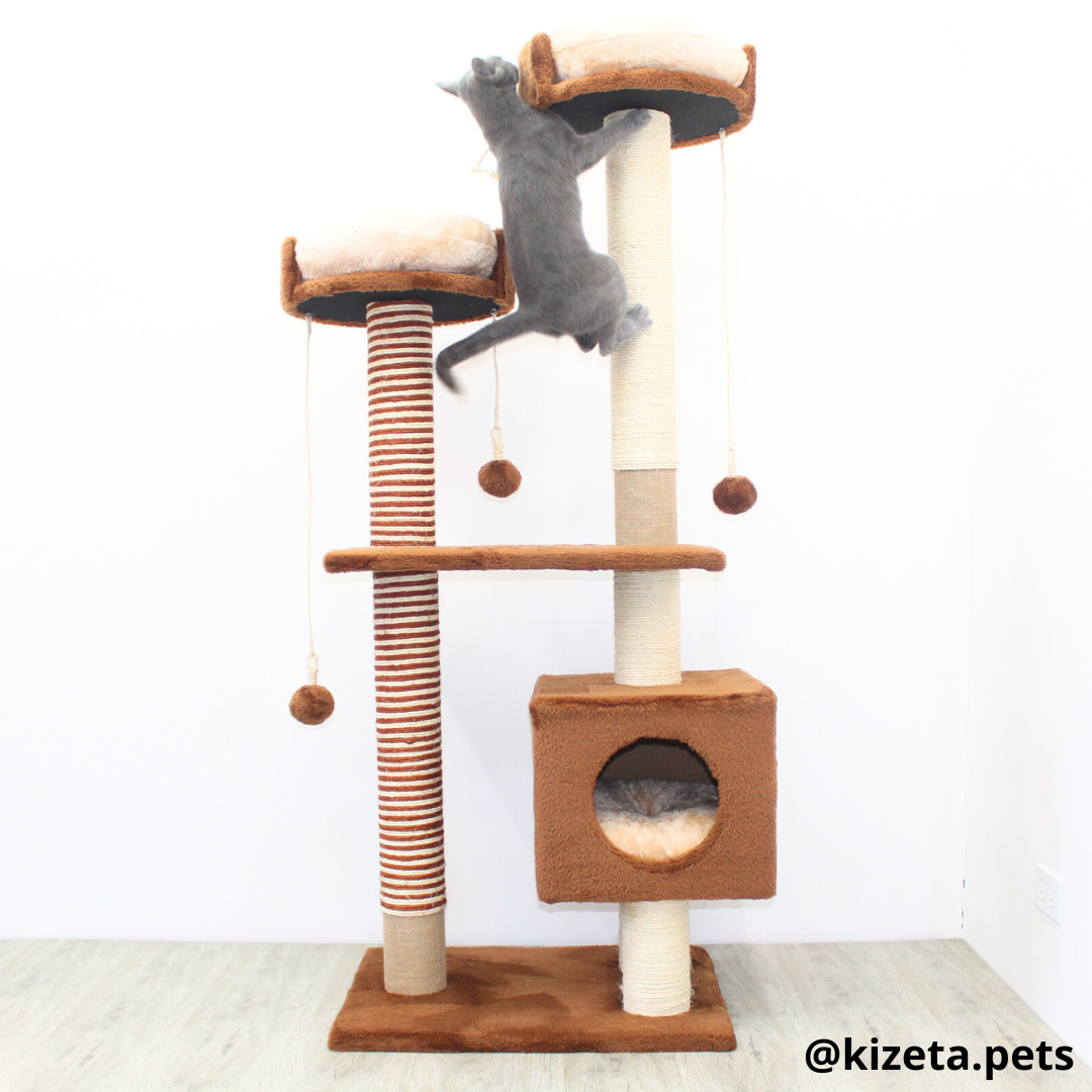 RASCADOR GYM PARA GATO MODELO MÓNACO EXTRAGRANDE 3 CAMAS + 6 TORRES (60x45x156CM)