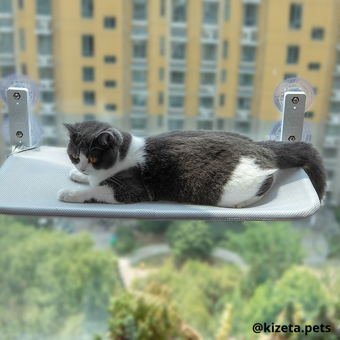 HAMACA DE VENTANA PARA GATOS MODELO CUADRANGULAR (60X30CM)