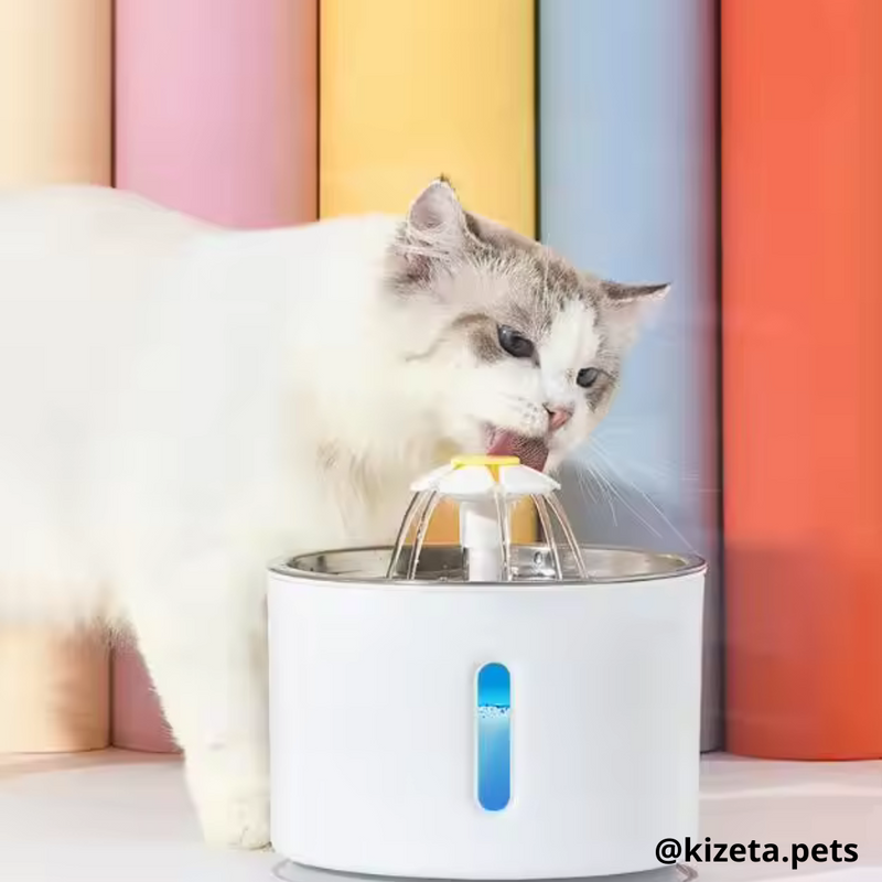 FUENTE DE AGUA DE 2,4L CON CUENCO DE ACERO INOXIDABLE PARA GATOS Y PERROS