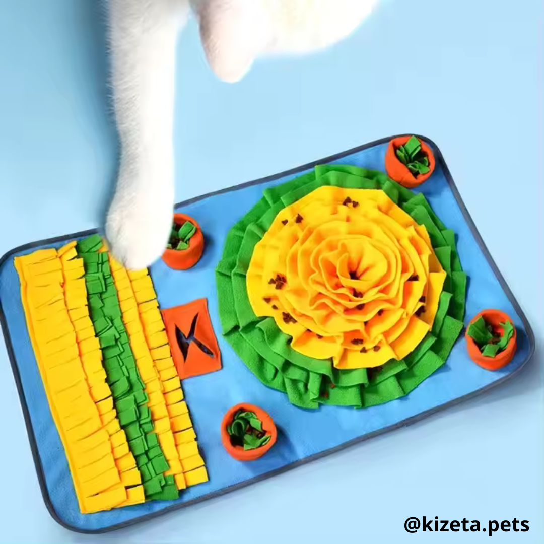 ALFOMBRILLA DE OLFATO VERDE/NARANJA PARA PERROS Y GATOS / ALFOMBRILLA DE ALIMENTACIÓN LENTA PARA MASCOTAS 70x50CM