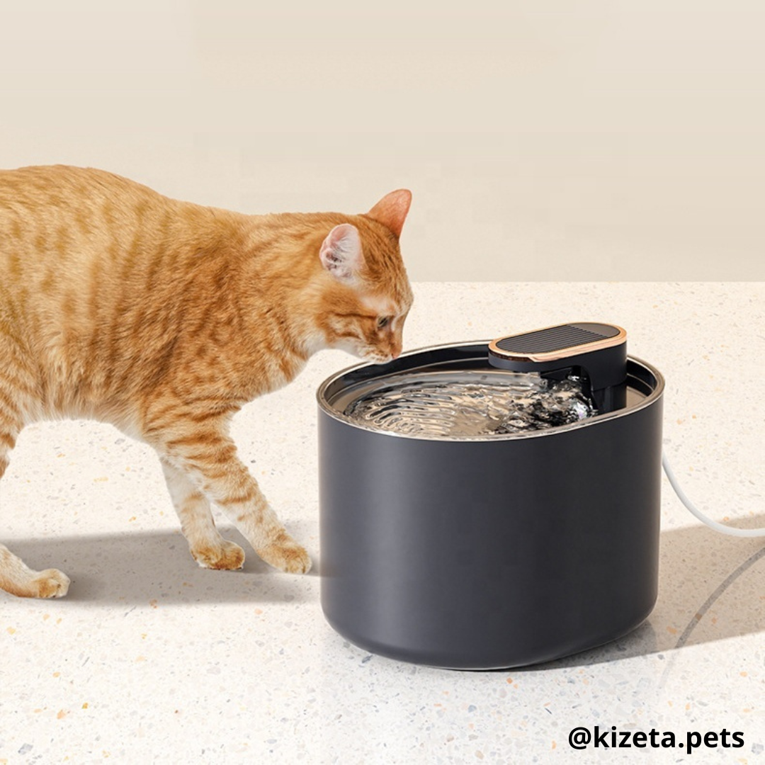 FUENTE DE AGUA SENCILLA OVALADA DE 3L PARA GATOS Y PERROS