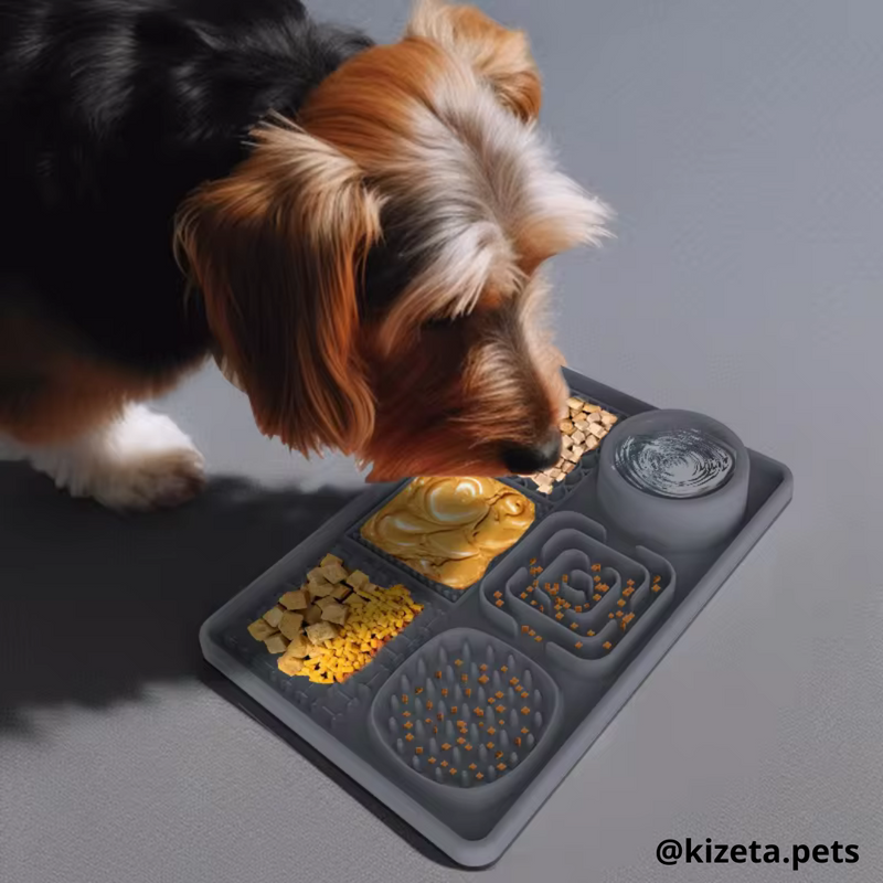 PLATO DE SILICONA L CON 6 TEXTURIZADOS PARA LAMER / LICK MAT / ALMOHADILLA JUGUETE INTERACTIVO MEDIANO PARA MASCOTAS