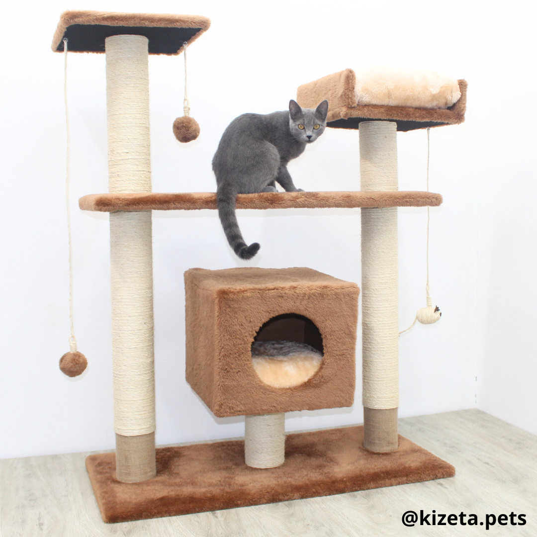 RASCADOR GYM PARA GATO MODELO PRAGA EXTRAGRANDE 2 CAMAS + 5 TORRES (90x45x116CM)