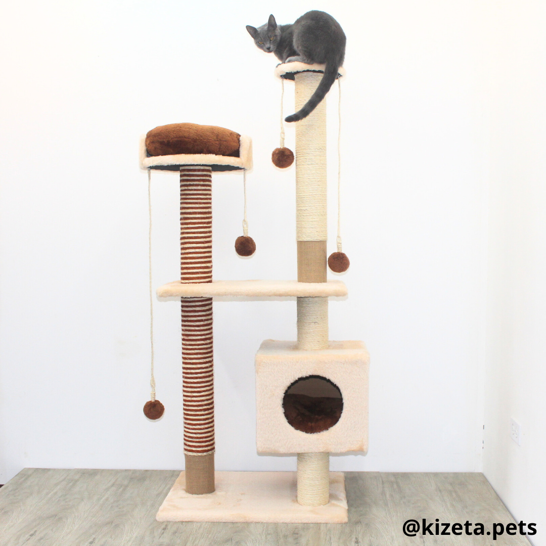 RASCADOR GYM PARA GATO MODELO VENECIA EXTRAGRANDE 2 CAMAS + 6 TORRES COLOR BEIGE (60x45x146CM)