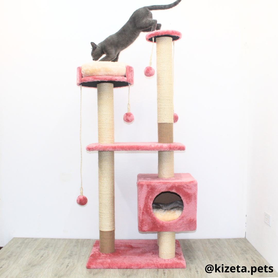 RASCADOR GYM PARA GATO MODELO VENECIA EXTRAGRANDE 2 CAMAS + 6 TORRES COLOR ROSADO (60x45x146CM)