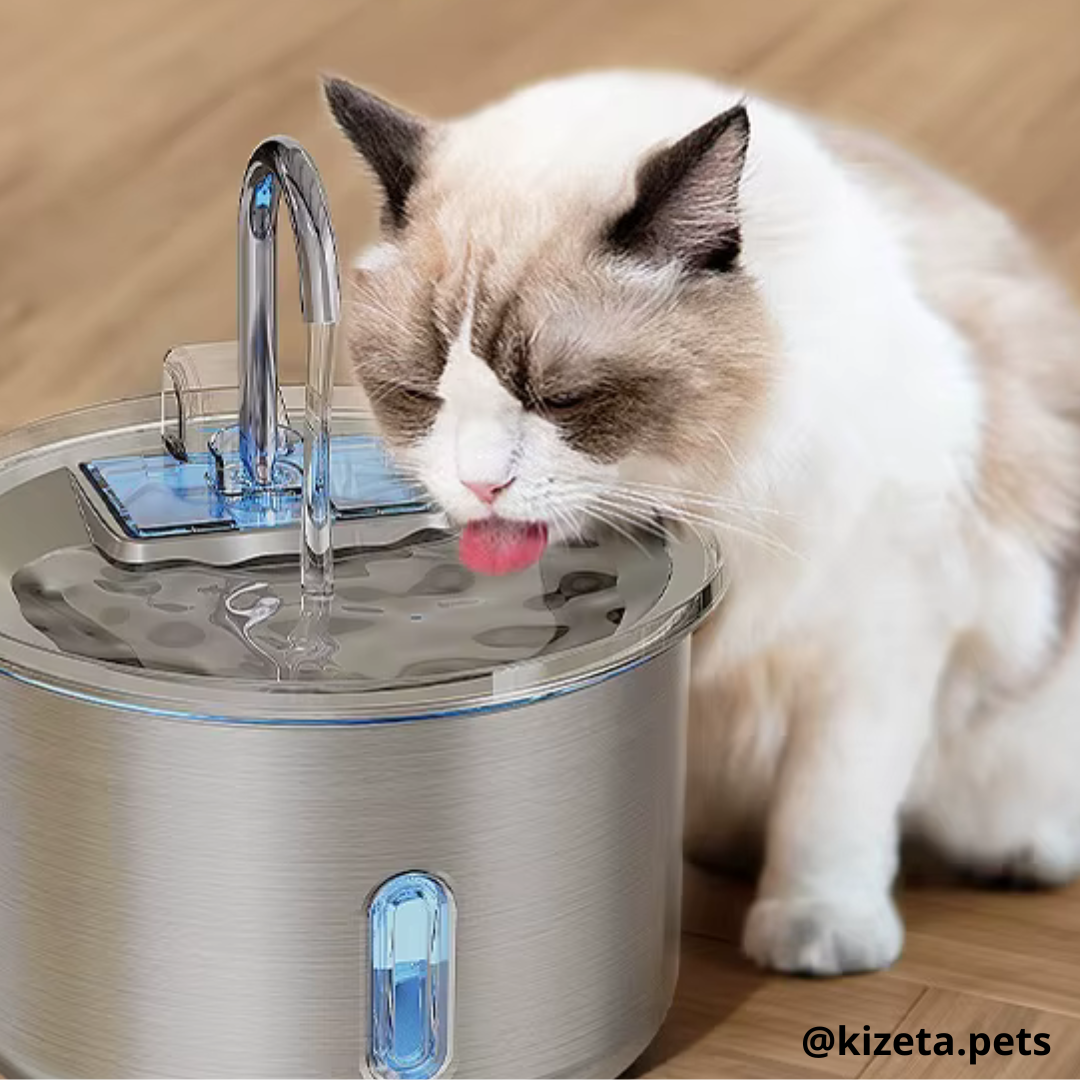 FUENTE DE AGUA DE ACERO INOXIDABLE CIRCULAR DE 2L PARA GATOS Y PERROS