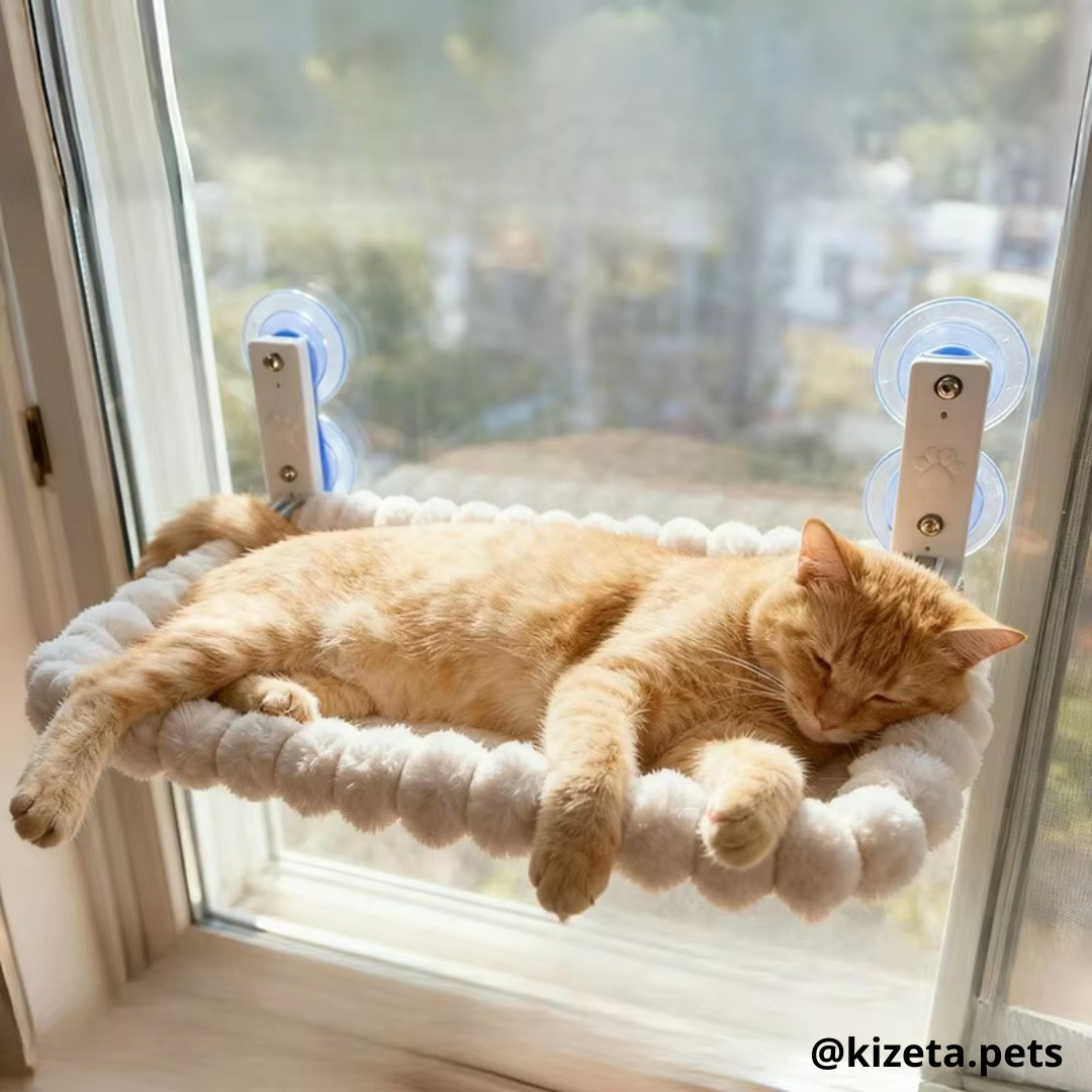 HAMACA DE VENTANA PARA GATOS MODELO DELUXE (60X30CM)
