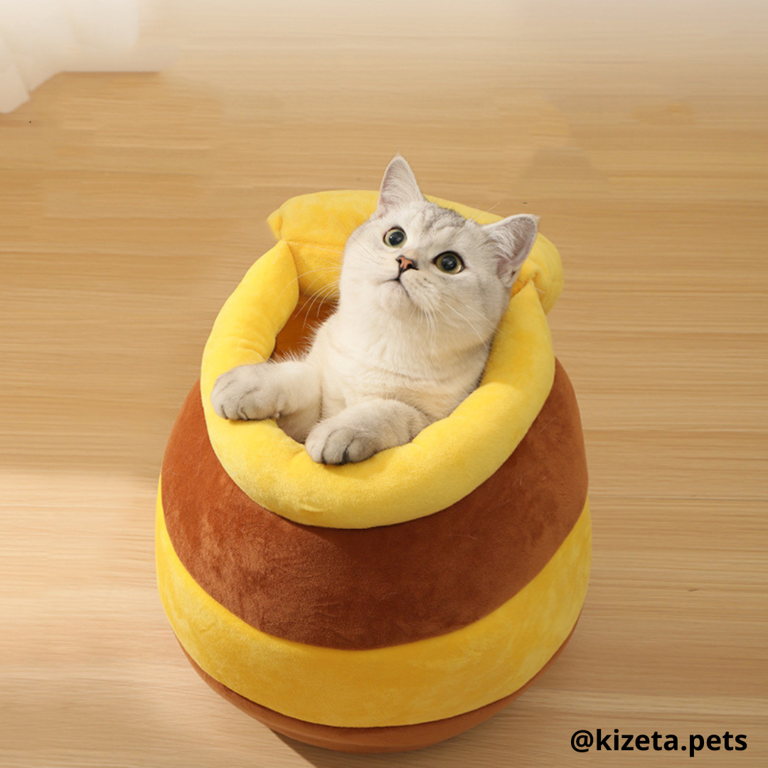 CAMA HONEY PARA GATITO