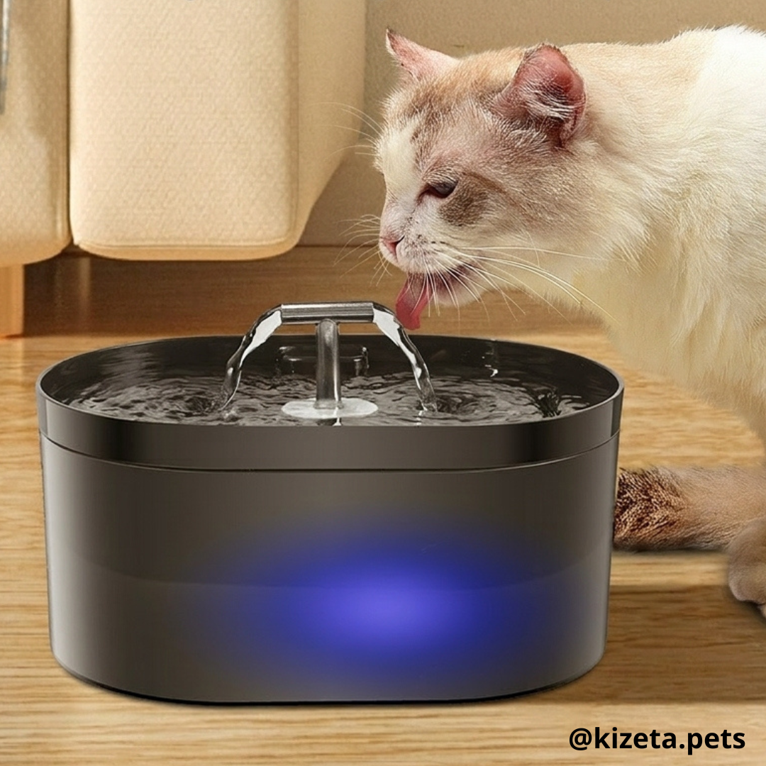 FUENTE DE AGUA SENCILLA OVALADA NEGRA DE 2.2L PARA GATOS Y PERROS