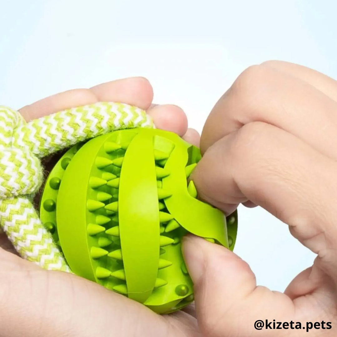 PELOTA DISPENSADORA + CUERDA