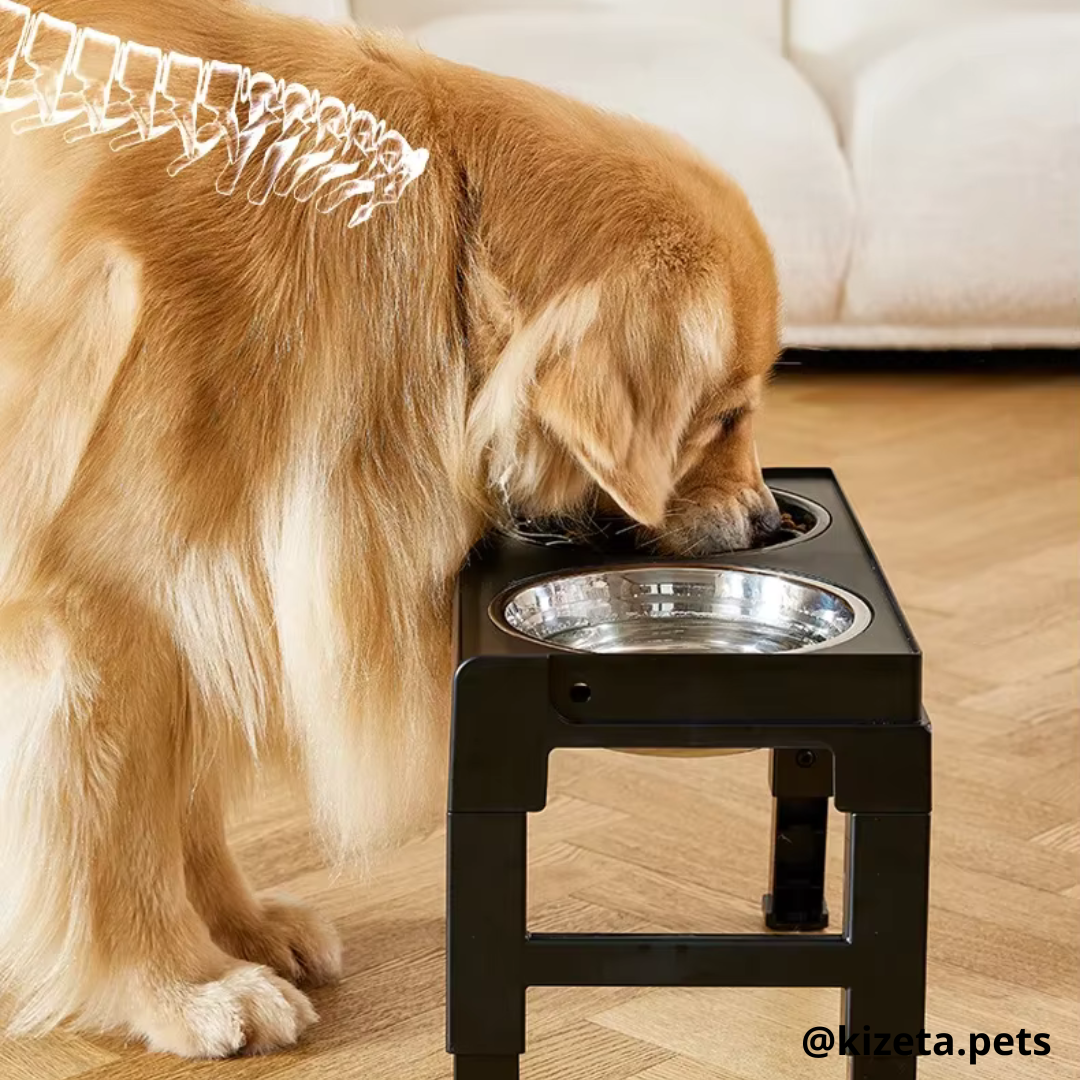 PLATOS ELEVADOS DE ACERO INOXIDABLE CON 5 REGULACIONES Y RESPALDAR PARA MASCOTAS MEDIANAS Y GRANDES