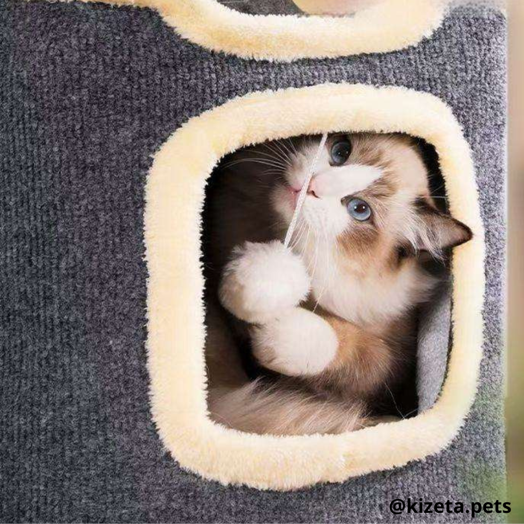 CASA/TORRE DE 3 PISOS PARA GATOS (CONDOMINIO)