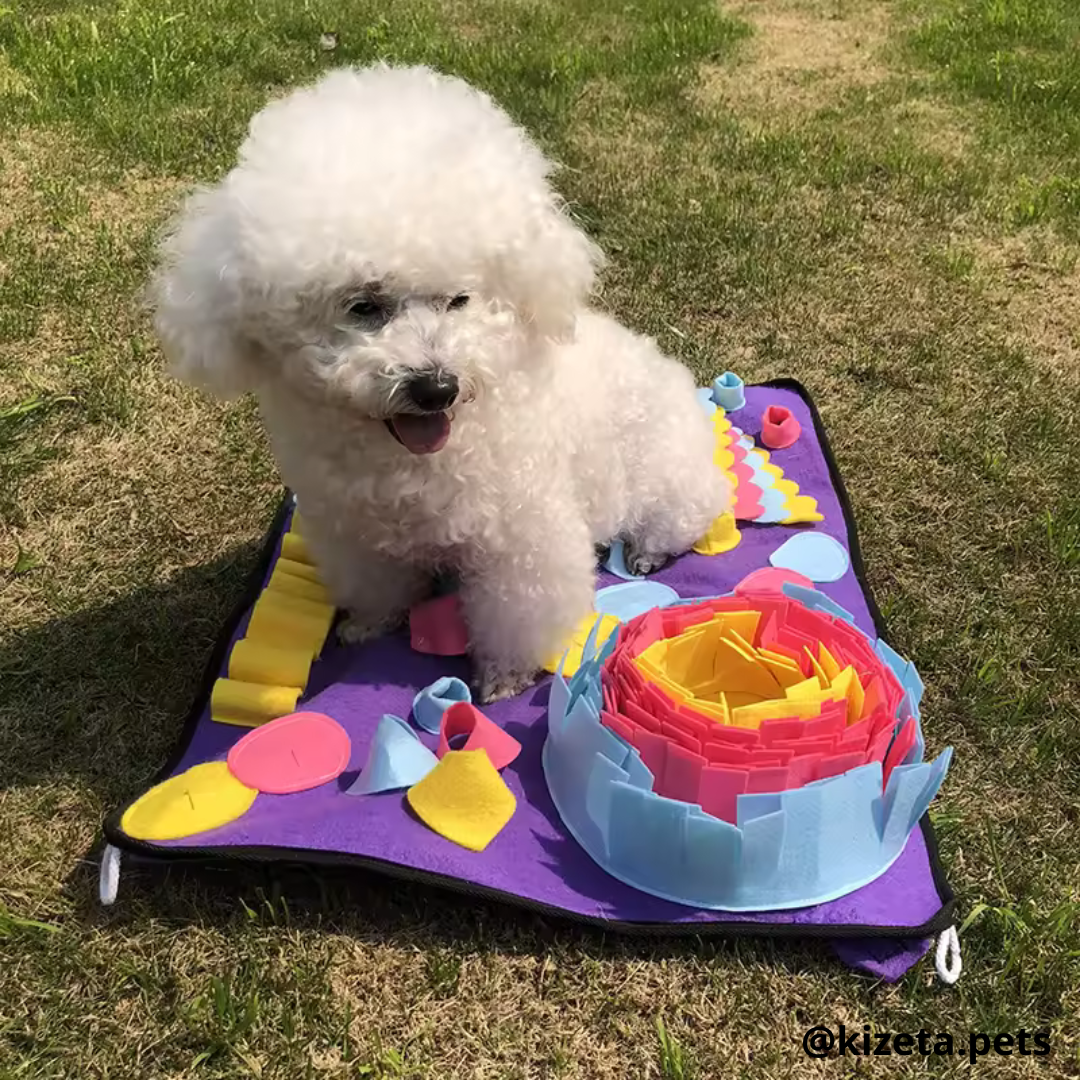 ALFOMBRILLA DE OLFATO MORADO/ROSADO PARA PERROS Y GATOS / ALFOMBRILLA DE ALIMENTACIÓN LENTA PARA MASCOTAS 70x50CM