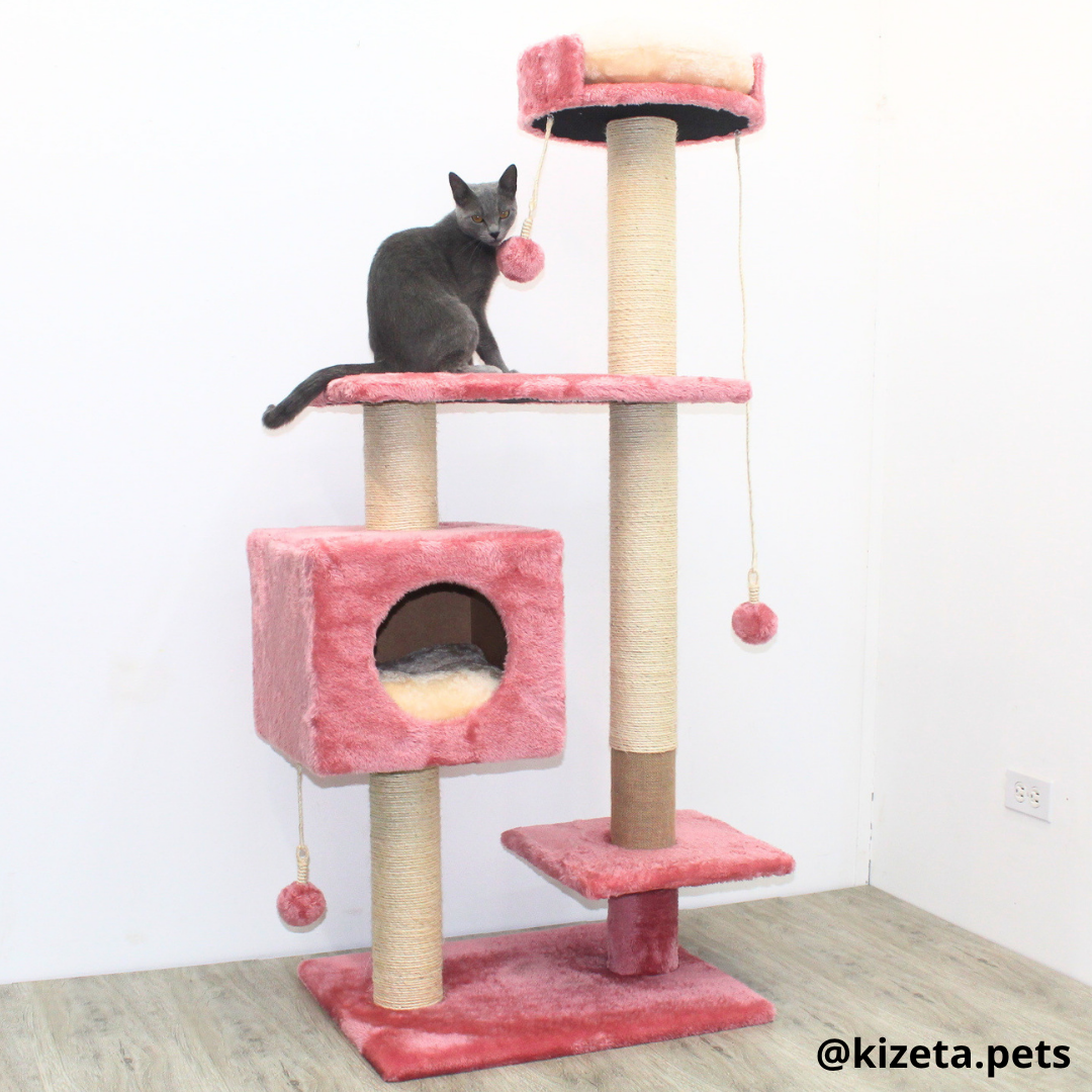 RASCADOR GYM PARA GATO MODELO CHICAGO 2DA GENERACIÓN 2 CAMAS + 5 TORRES (60x45x145CM)