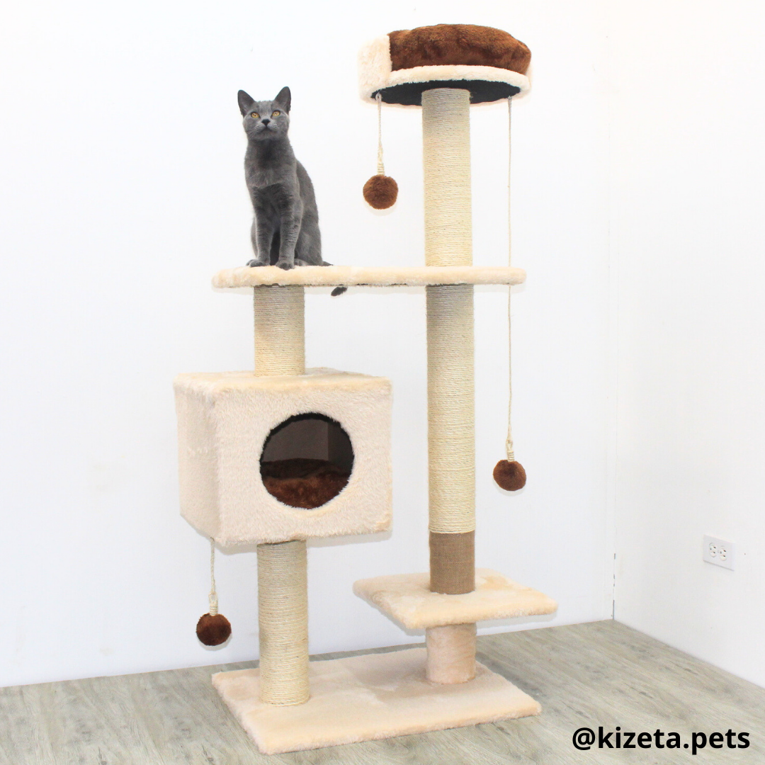 RASCADOR GYM PARA GATO MODELO CHICAGO 2DA GENERACIÓN 2 CAMAS + 5 TORRES (60x45x145CM)