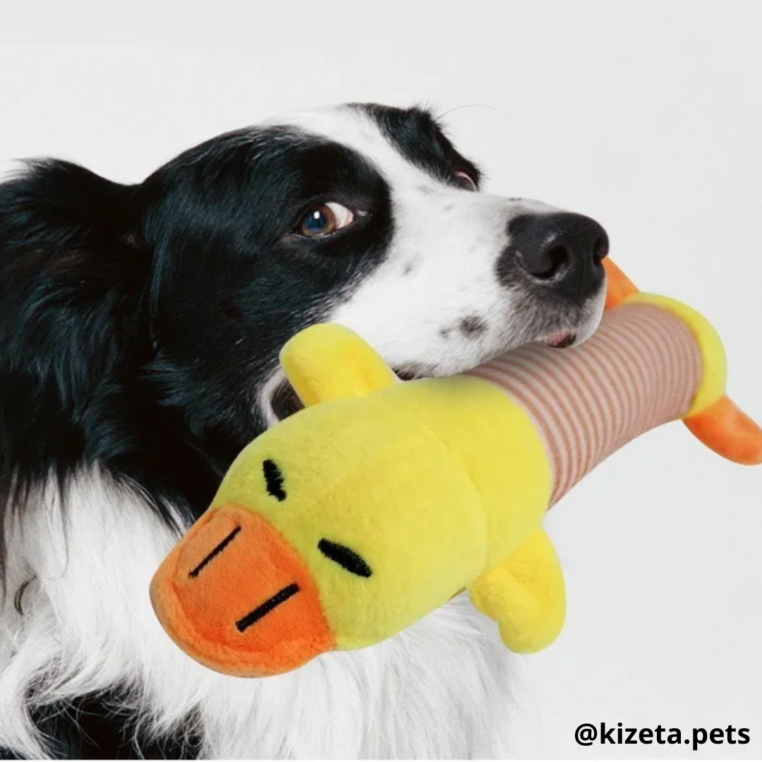 KIT DE 12 JUGUETES PARA PERRO