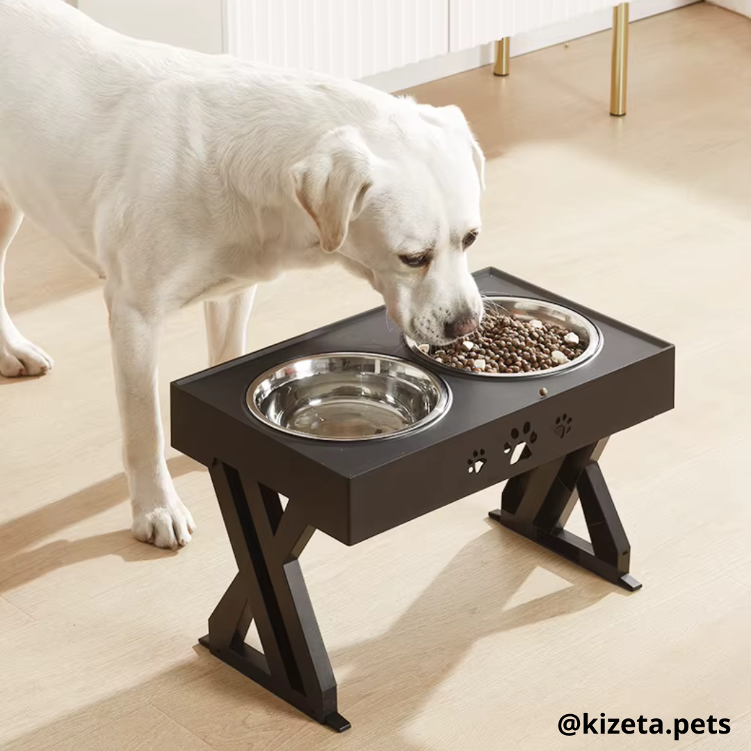 PLATOS ELEVADOS DE ACERO INOXIDABLE CON 3 REGULACIONES PARA MASCOTAS PEQUEÑAS, MEDIANAS Y GRANDES
