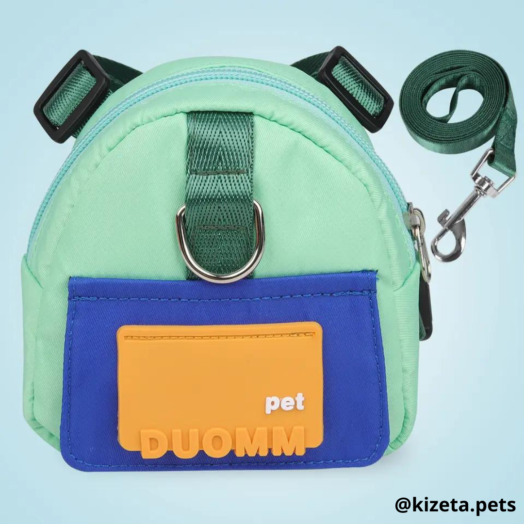 MOCHILA + CORREA TIPO ARNÉS PARA PERRO O GATO