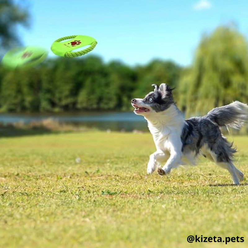 KIT DE 12 JUGUETES PARA PERRO