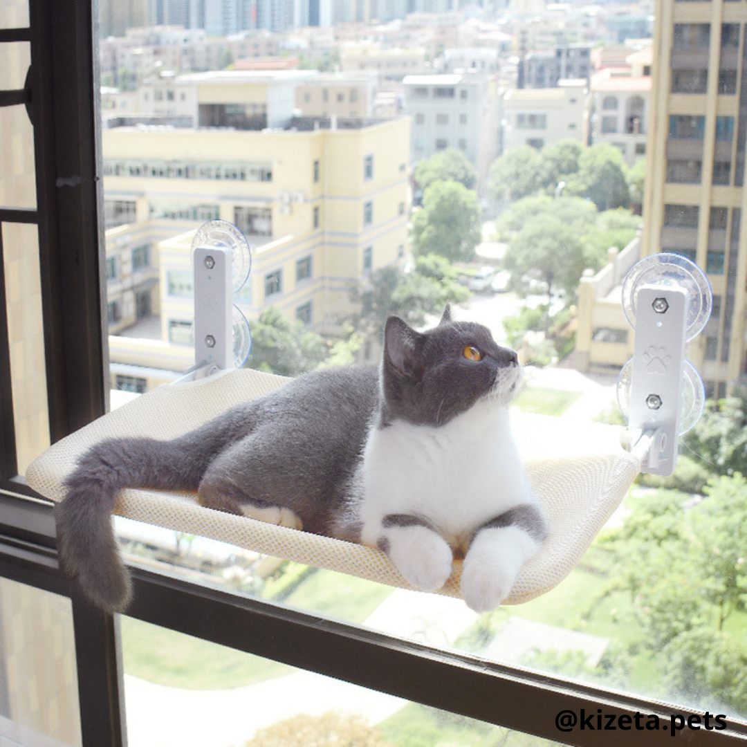 HAMACA DE VENTANA PARA GATOS MODELO CUADRANGULAR (60X30CM)