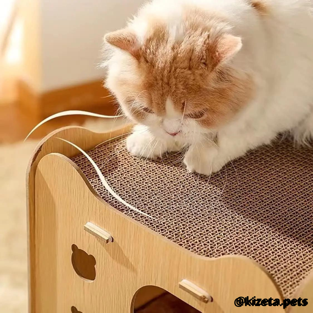 CUARTO/CASA RASCADOR ENTRADA TIPO OSO PARA GATO (2 TABLAS RASCADORAS + 1 COJÍN)