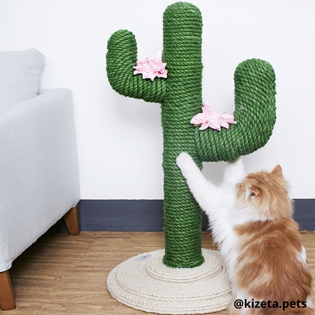RASCADOR TIPO CACTUS (50X58X105CM)