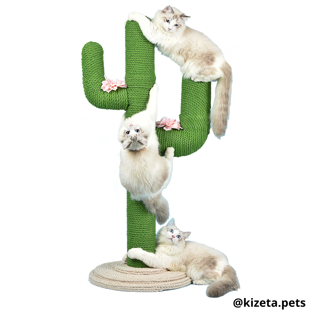 RASCADOR TIPO CACTUS (50X58X105CM)