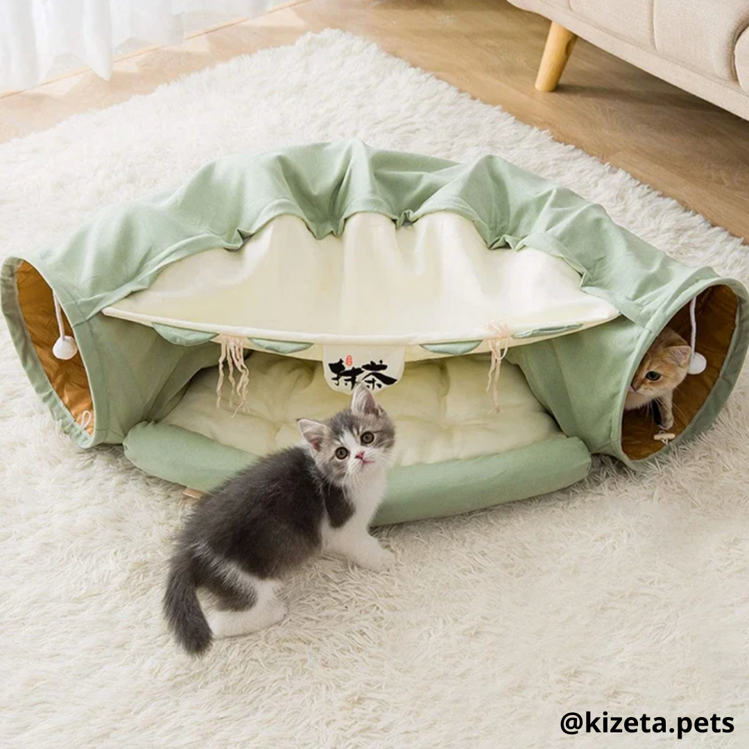 TÚNEL + CAMA PARA GATOS