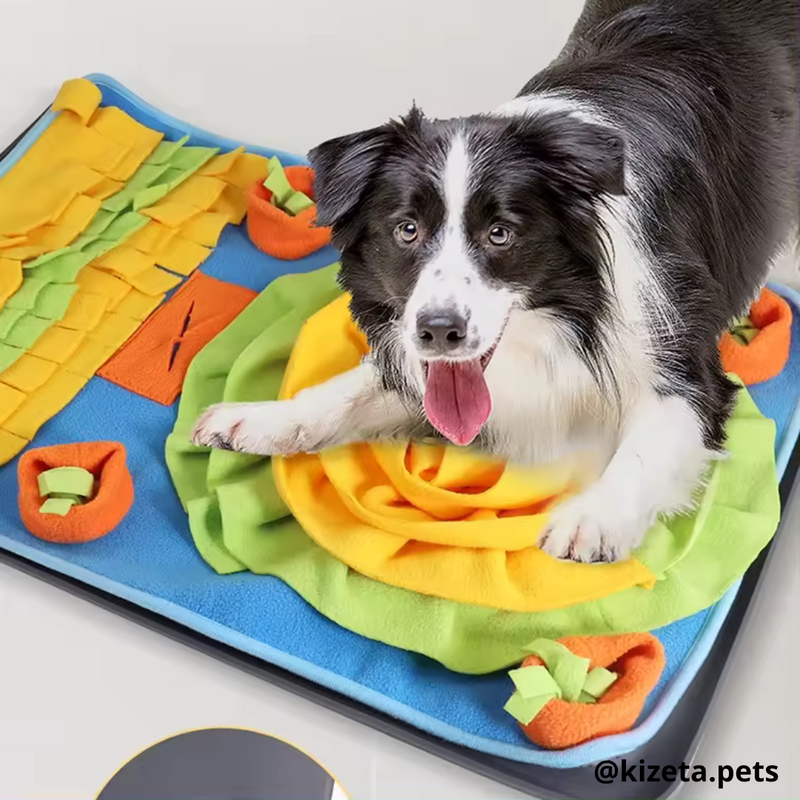 ALFOMBRILLA DE OLFATO VERDE/NARANJA PARA PERROS Y GATOS / ALFOMBRILLA DE ALIMENTACIÓN LENTA PARA MASCOTAS 70x50CM